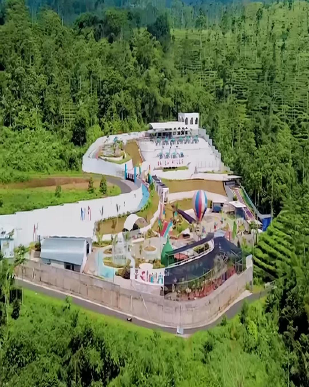 kayla-hills-pagilaran-batang-surga-tersembunyi-di-tengah-kebun-teh