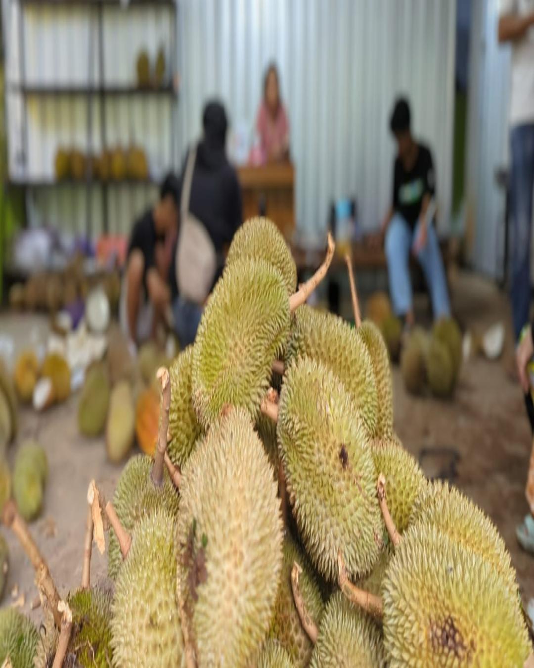 durian-mutiara-tempat-makan-durian-nge-hits-di-pekalongan