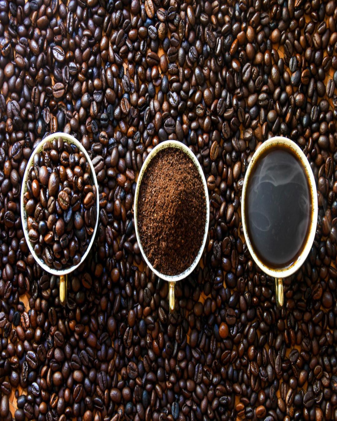 15-fun-fact-tentang-kopi-yang-belum-banyak-diketahui