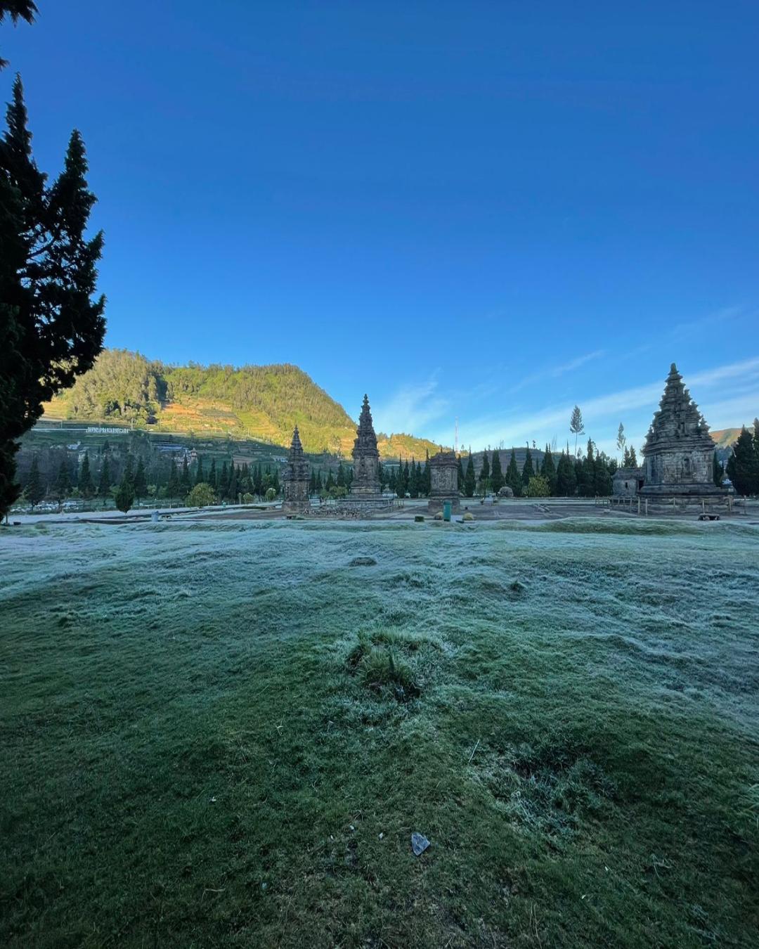 tips-melihat-embun-es-di-dieng-momen-langka-yang-wajib-masuk-bucket-list